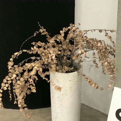 兽设黎明场景绘制福瑞群